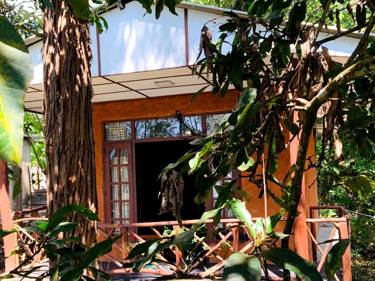The Nirwana Cottage 엘라 외부 사진